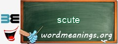 WordMeaning blackboard for scute